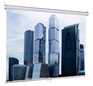 Настенный экран Lumien Eco Picture 164х240см (рабочая область 130х232 см) Matte White восьмигранный 